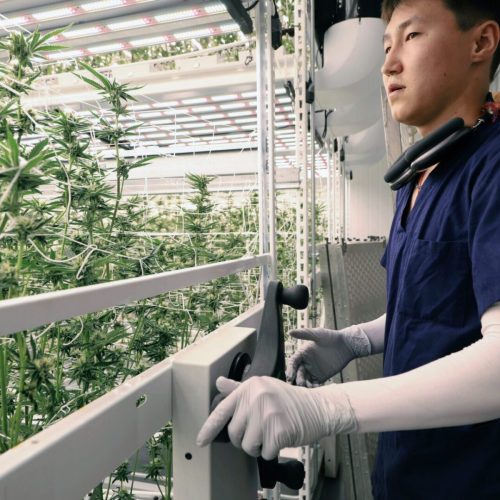 Cathederal City Installing ELEVATE