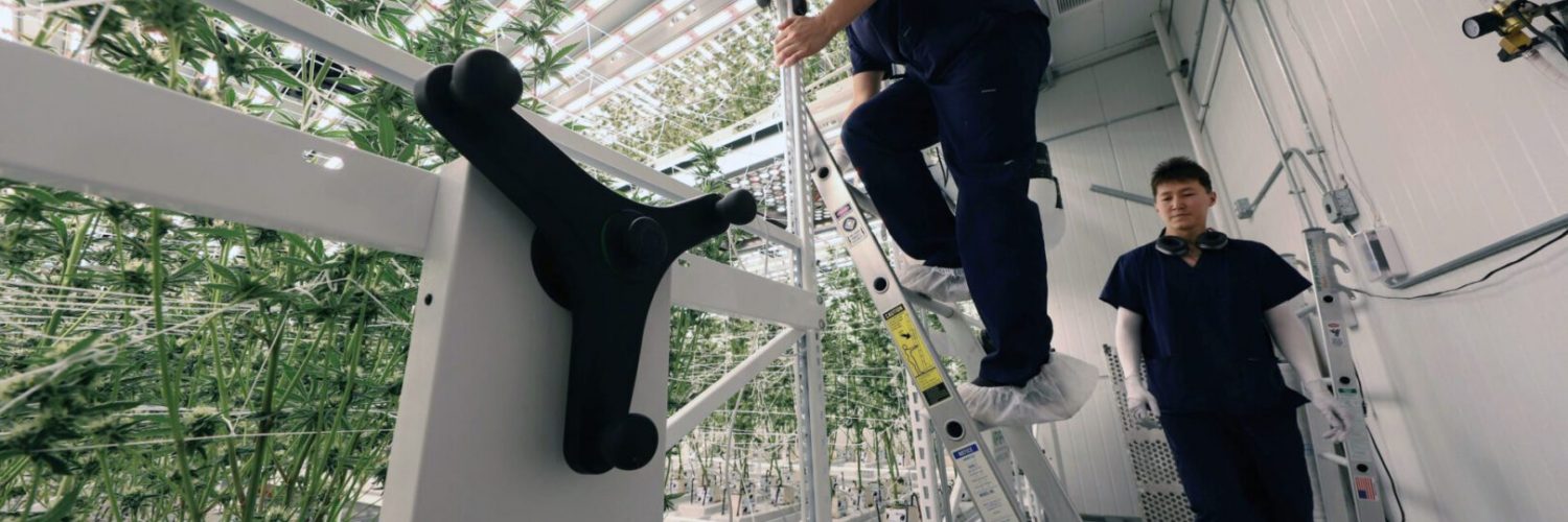 Using Catwalk on Multi-Tier Racks