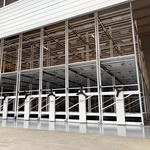 Grow 5x More with Pipp!