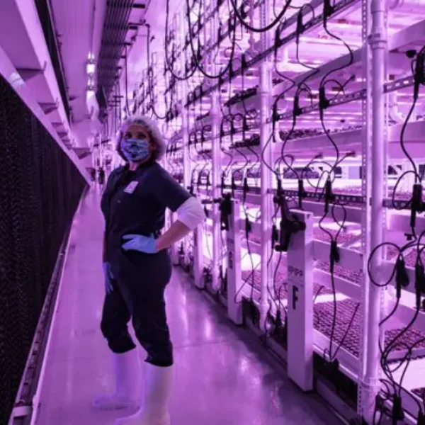 Pipp Multi-Tier Grow Racks for Microgreens at Planted Detroit