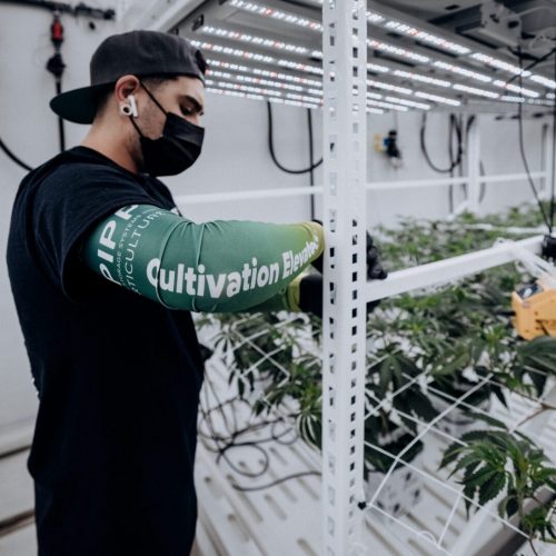 New Farming sleeves Pipp