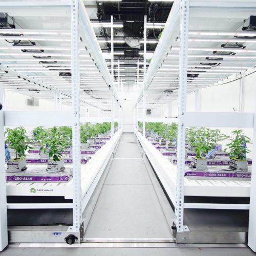 Greenhaus Industries Grow Trays