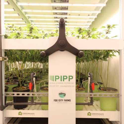 Pipp Horticulture and Fog City Farms