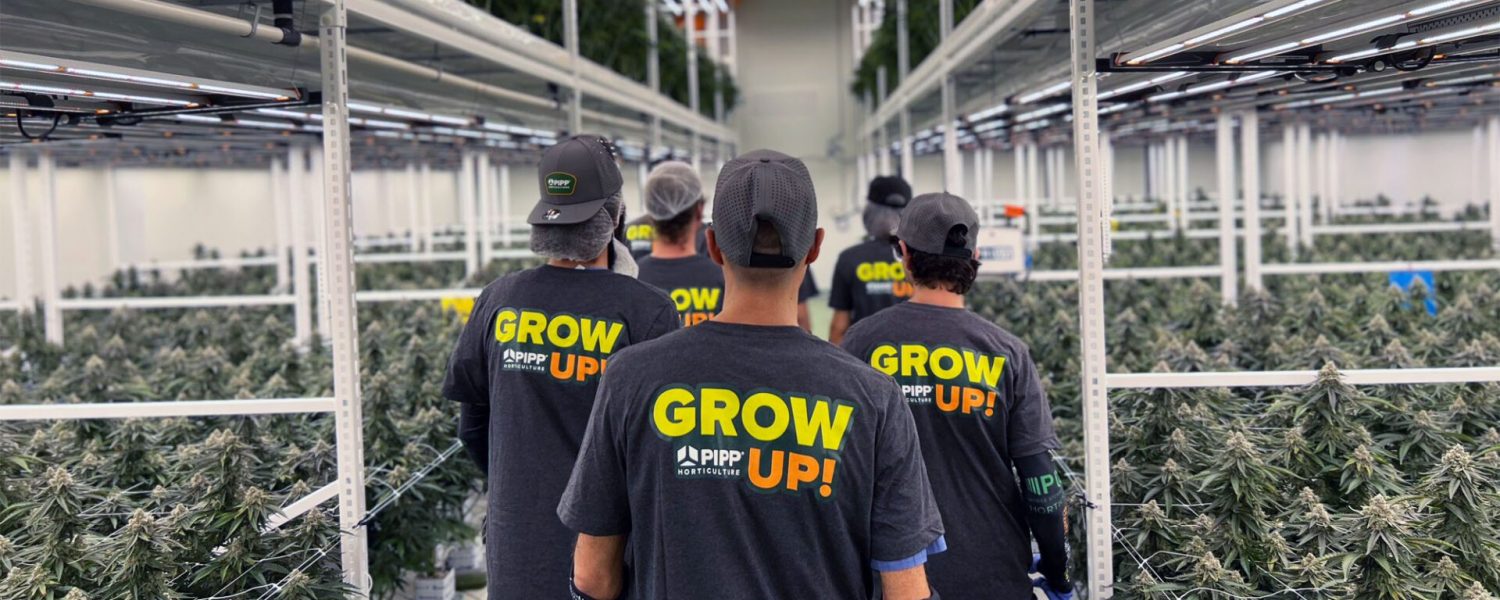 Pipp Horticulture Vertical Grow Racks at Trichome in Israel
