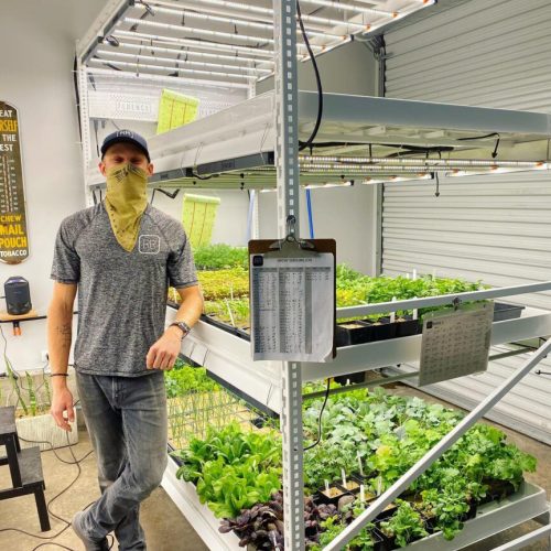 Pipp Horticulture