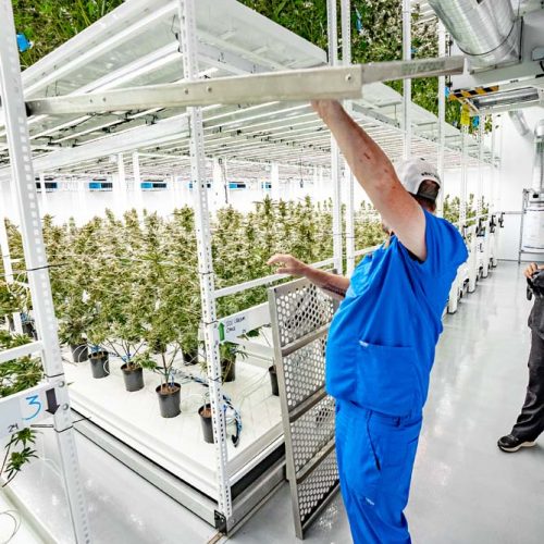 Freedom Green Farms - ELEVATE&trade; Platform System
