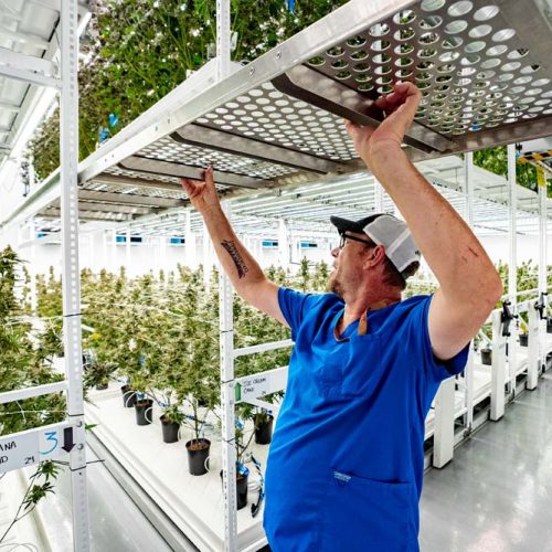 Freedom Green Farms - ELEVATE™ Platform System