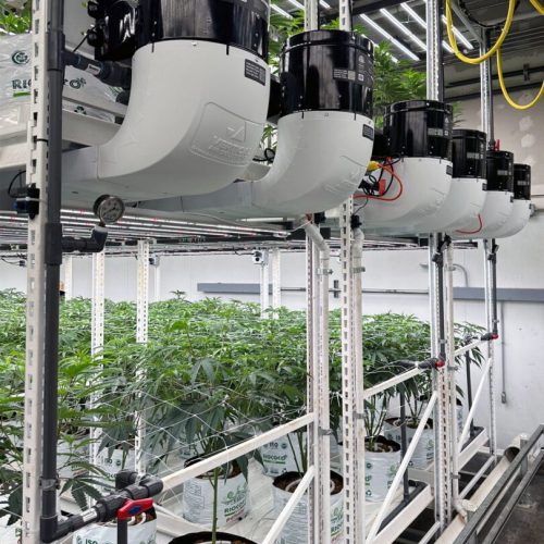Airflow System for Cannabis VAS 2.0