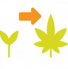 Vegetative Icon