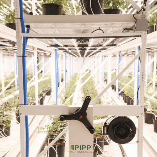 Candre Cannabis Cultivation with Pipp Horticulture Mobile Vertical Grow Racks