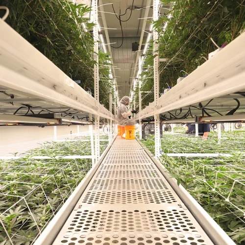 Sozo Cultivation - ELEVATE&trade; Platform System