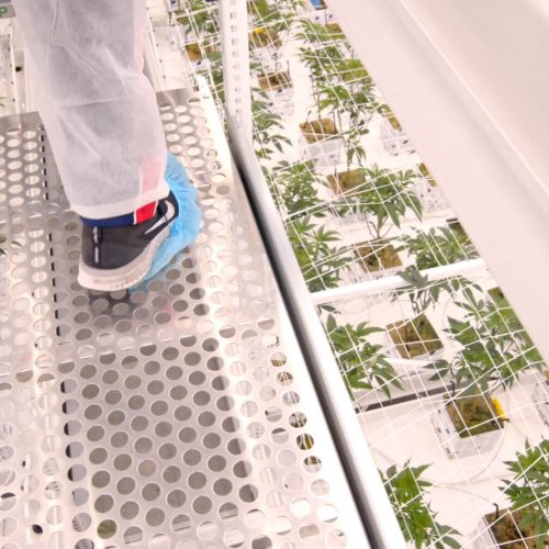 ELEVATE&trade; Platform System